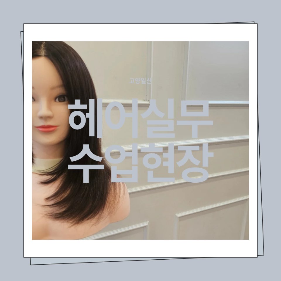 [고양일산] 헤어 실무 수업 현장